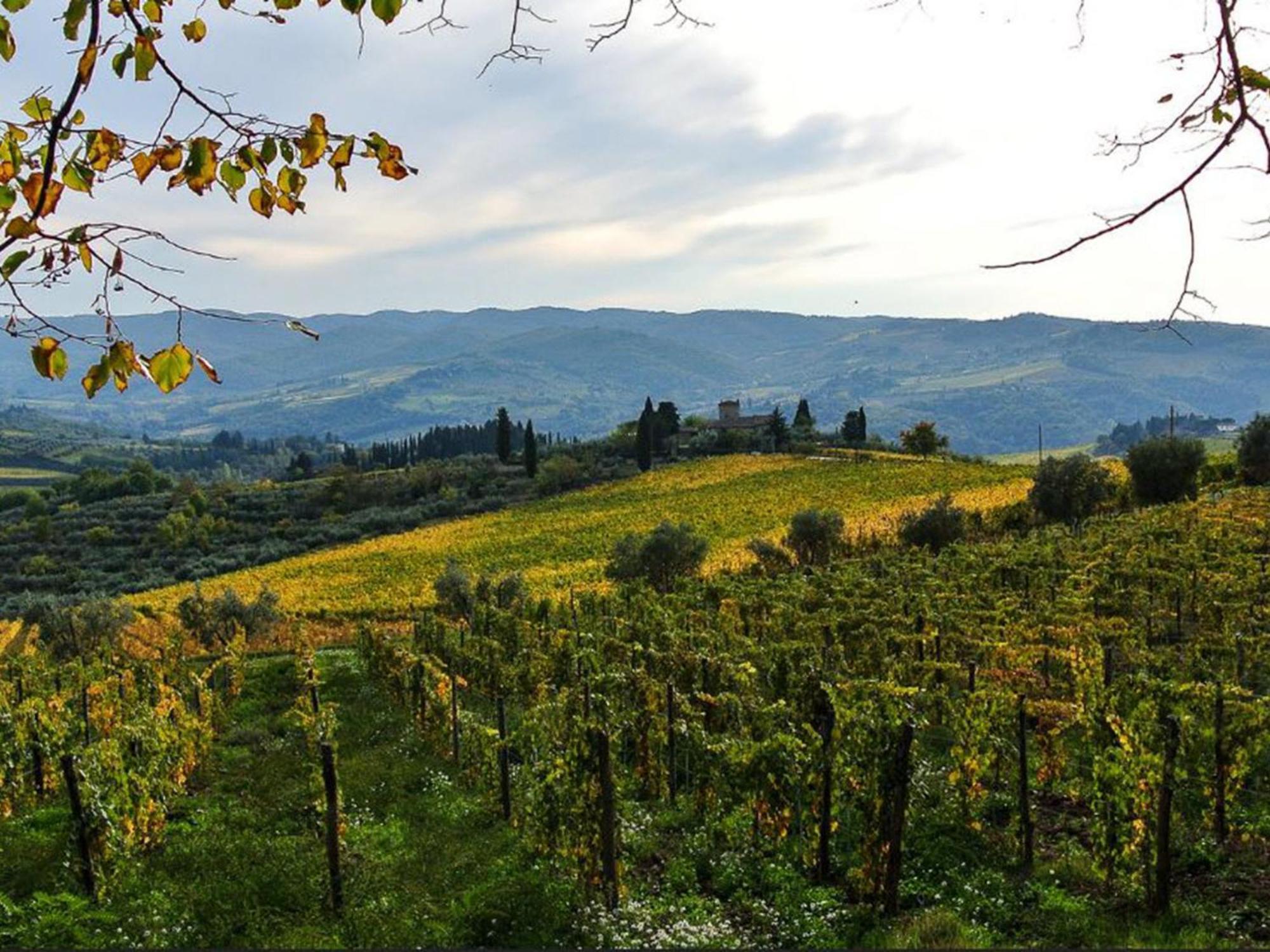 Holiday Home La Torre By Interhome Lucolena in Chianti Extérieur photo