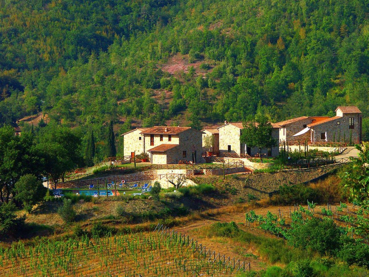 Holiday Home La Torre By Interhome Lucolena in Chianti Extérieur photo